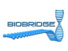 biobridge