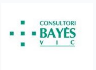 Beca Consultori Bayés