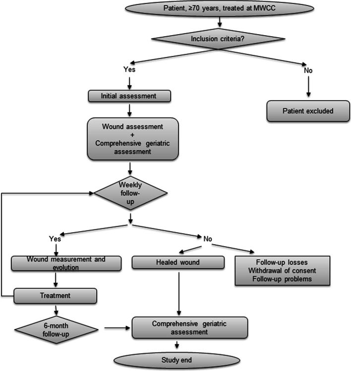 assessment-of-frailty-in-elderly-patients-attending-a-multidisciplinary