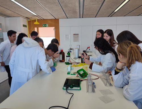 Biomedicine Workshops: Connecting Biomedical Sciences with Upper Secondary Students