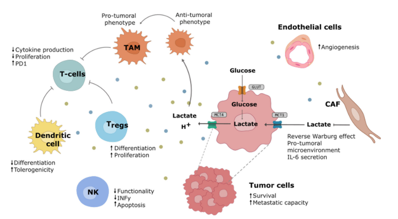 d3b9f83b-d880-4eb3-91f8-2abcb48a6769