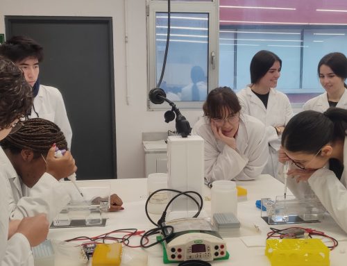 Vocations Born in the Laboratory: Biomedical Workshops for Upper Secondary Students
