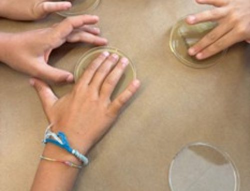 Bringing Science Closer to the Classroom: Interactive Science Workshops at Els Castanyers School During European Research Week