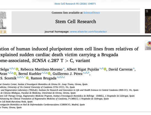 Generation of human induced pluripotent stem cell lines from relatives of an unexplained sudden cardiac death victim carrying a Brugada Syndrome-associated, SCN5A c.287 T>C, variant