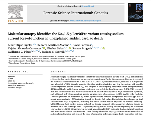 Molecular autopsy identifies the NaV1.5 p.Leu96Pro variant causing sodium current loss-of-function in unexplained sudden cardiac death