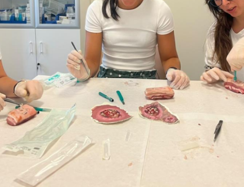 TR2Lab participates in the FOCUSS Programme