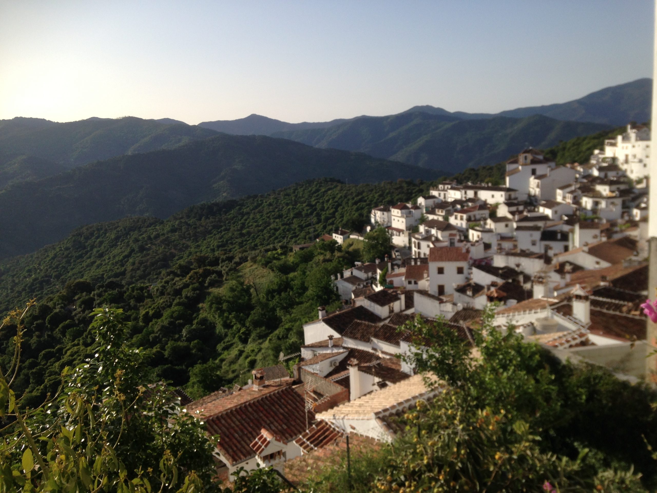 Oral histories of Women farmers and homegardens in Sierra Ronda (Andalusia)