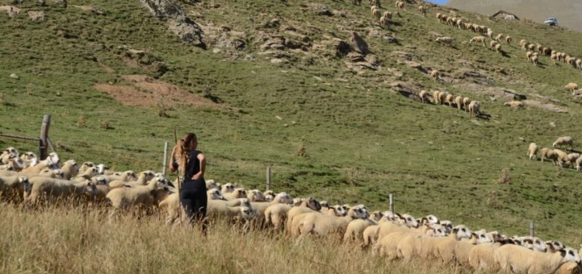 Recovering the mountain: a story about the rights of women and land in the Catalan Pyrenees