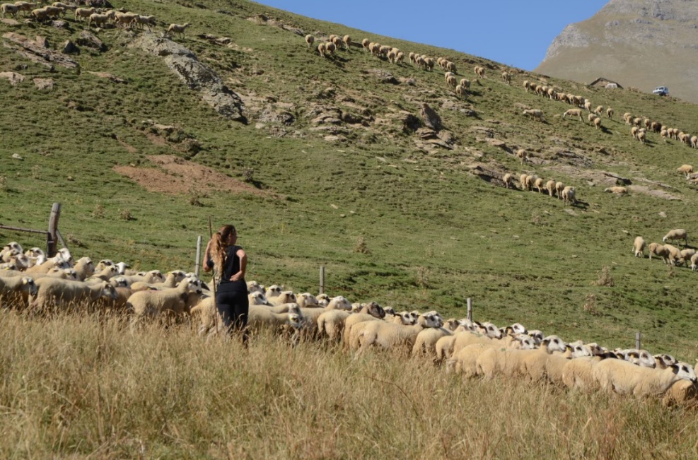 Recovering the mountain: a story about the rights of women and land in the Catalan Pyrenees
