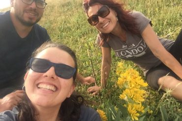 Biodiversity of plants and pollinators and bush encroachment in alpine pastures: a case study in the Catalan Pyrenees
