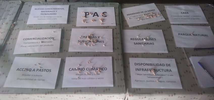 Report on the knowledge and livestock practices of the pastoral community of Santiago-Pontones (Jaén, Spain).