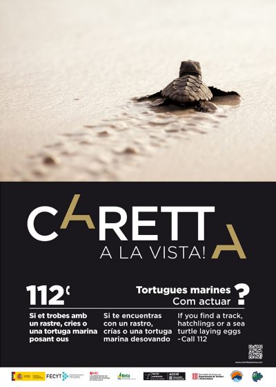 [:ca]El projecte Caretta a la Vista finalitza 2017 amb més de 500 participants presencials [:es]El proyecto Caretta a la Vista finaliza 2017 con más de 500 participantes presenciales [:]