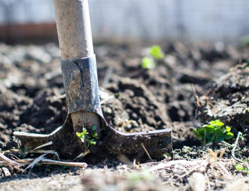 Un projecte liderat per Marta G. Rivera entre els 11 beneficiaris de la darrera convocatòria per impulsar projectes de reflexió al Palau Macaya de la Fundació “la Caixa”