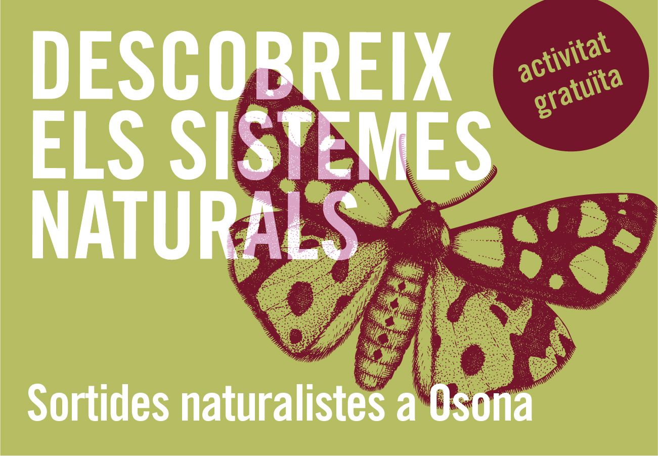 Les Sortides Naturalistes a Osona 2023 ofereixen una vintena d’activitats entre març i novembre