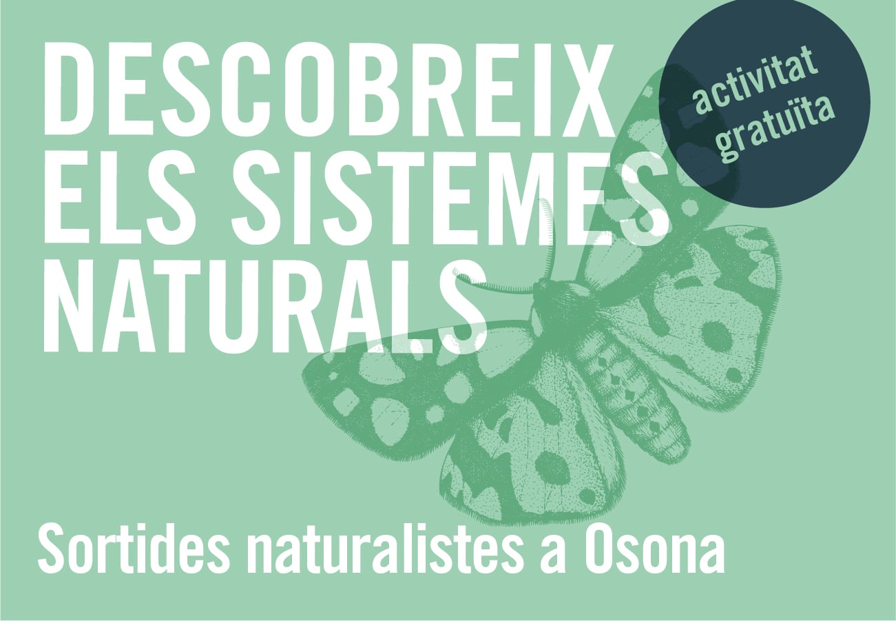 Les Sortides Naturalistes a Osona i el Lluçanès 2025 presenten 16 activitats per descobrir-ne la fauna i la flora