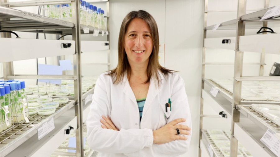 Conferència "Com ens alimentarem?"