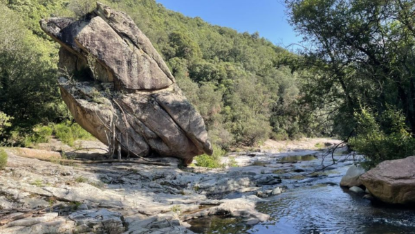 Els gorgs i les basses de les Guilleries són un escut natural per a espècies vulnerables al canvi climàtic