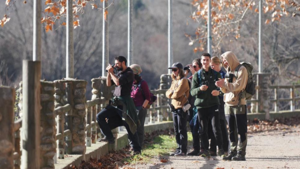 El cens del 2024 detecta recuperacions i reptes en la fauna aquàtica de l’Alt Ter