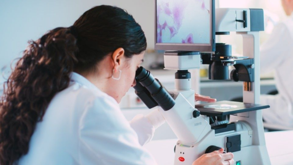 Nou màster universitari en Biomedical Research and Industry