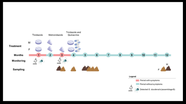 Nova publicació científica a la revista Travel Medicine and Infectious Disease