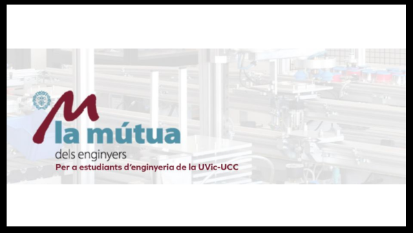 Dues beques de mobilitat internacional per al Japó per a estudiants del grau en Multimèdia, Aplicacions i Videojocs de la UVic-UCC