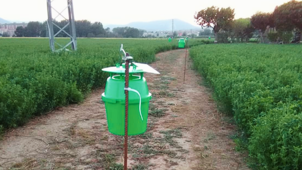 La FCTE obté finançament del Departament d’Agricultura dels EUA per impulsar la recerca en control sostenible de plagues