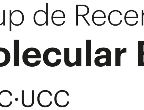 Creació d’un nou grup de recerca Molecular Biomedicine (MBM) per reforçar la recerca biomèdica i translacional a la UVic-UCC
