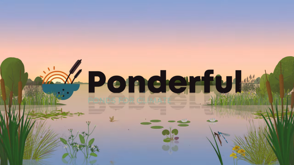 El projecte PONDERFUL edita un vídeo divulgatiu per sensibilitzar sobre la funció de les basses