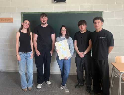 Projecte Boomerang – MiP