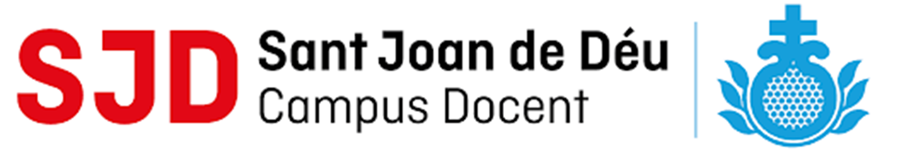 Campus Docent de Sant Joan de D&eacute;u